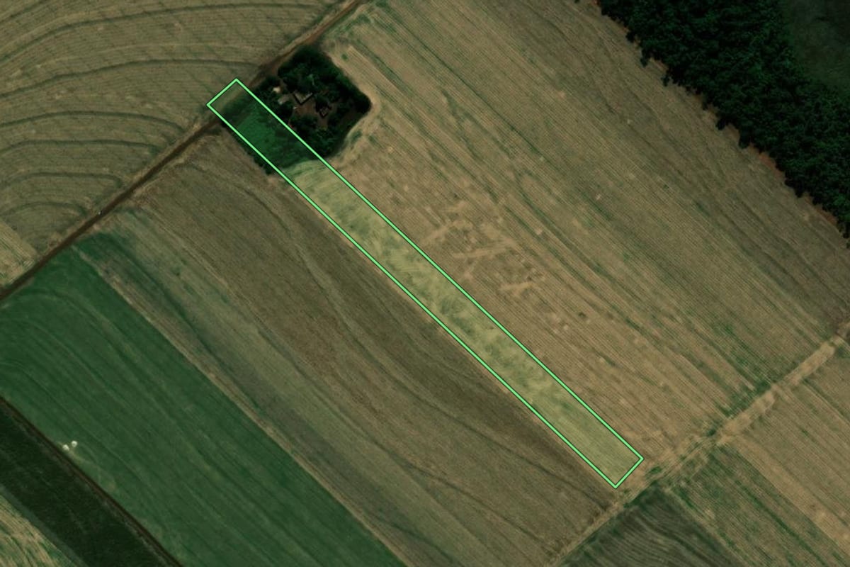 Imagem de satélite do imóvel rural em Japurá (PR), com o contorno declarado no CAR desenhado por cima.