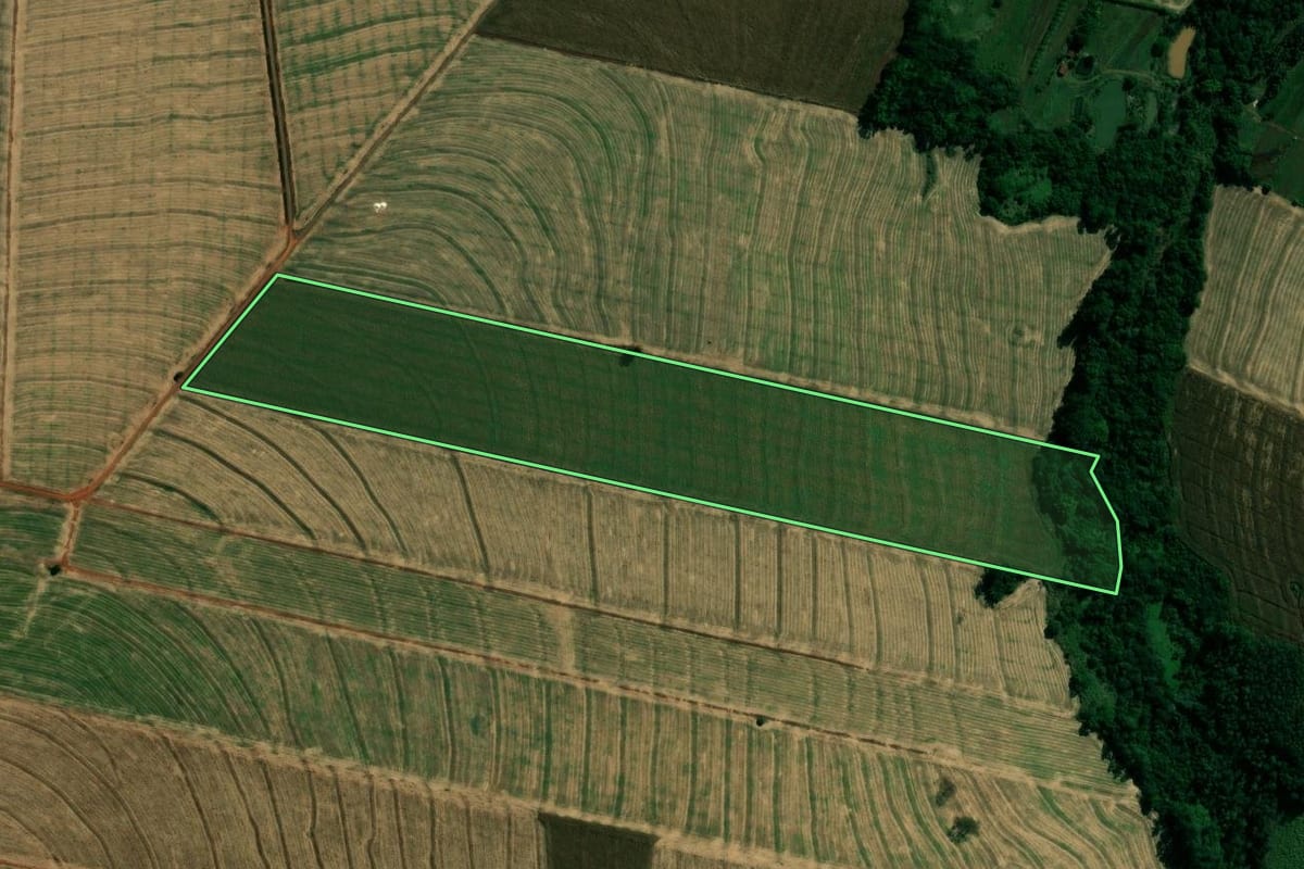 Imagem de satélite do imóvel rural em Japurá (PR), com o contorno declarado no CAR desenhado por cima.
