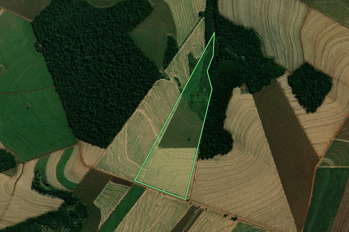 Imagem de satélite do imóvel rural em Japurá (PR), com o contorno declarado no CAR desenhado por cima.
