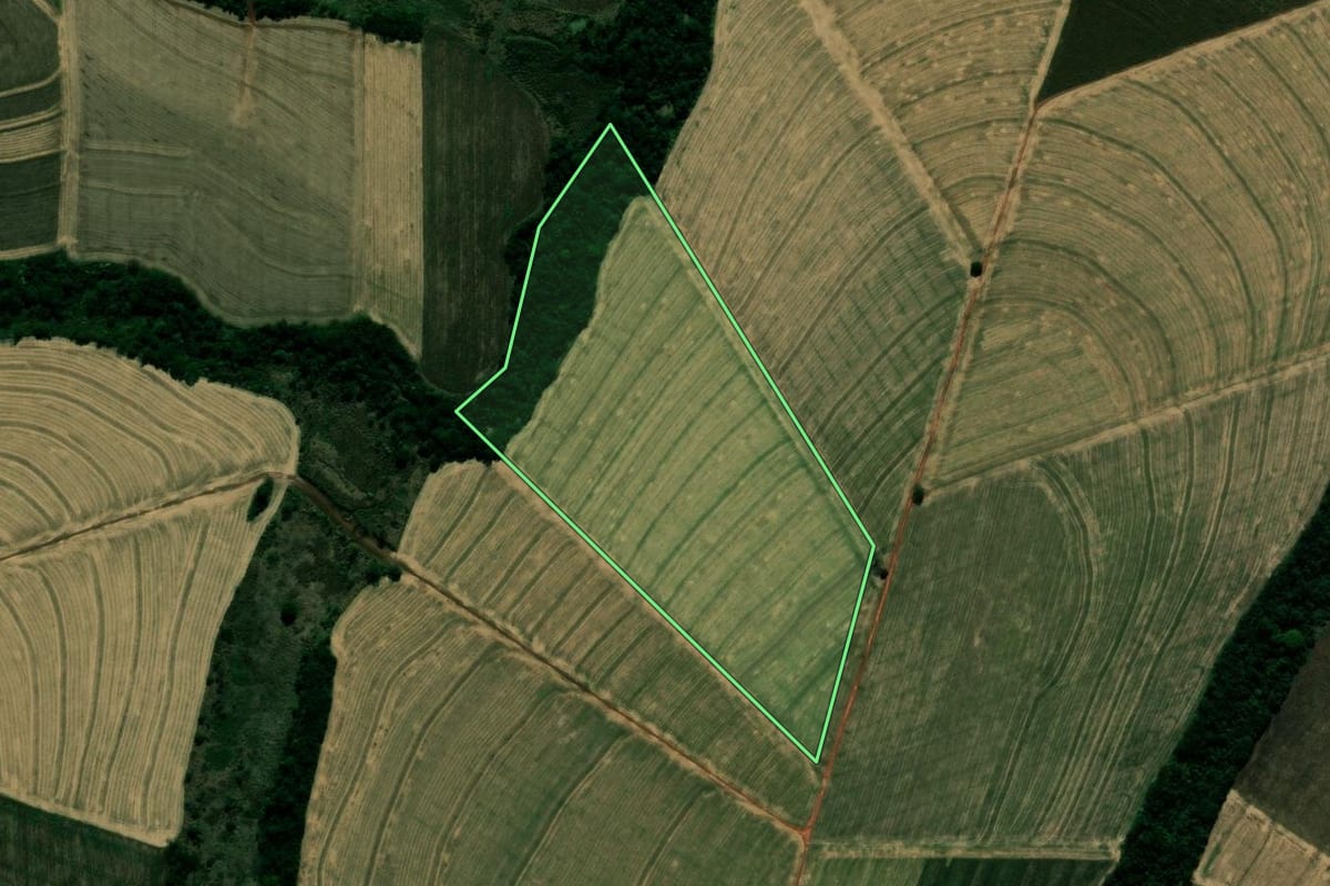Imagem de satélite do imóvel rural em Japurá (PR), com o contorno declarado no CAR desenhado por cima.