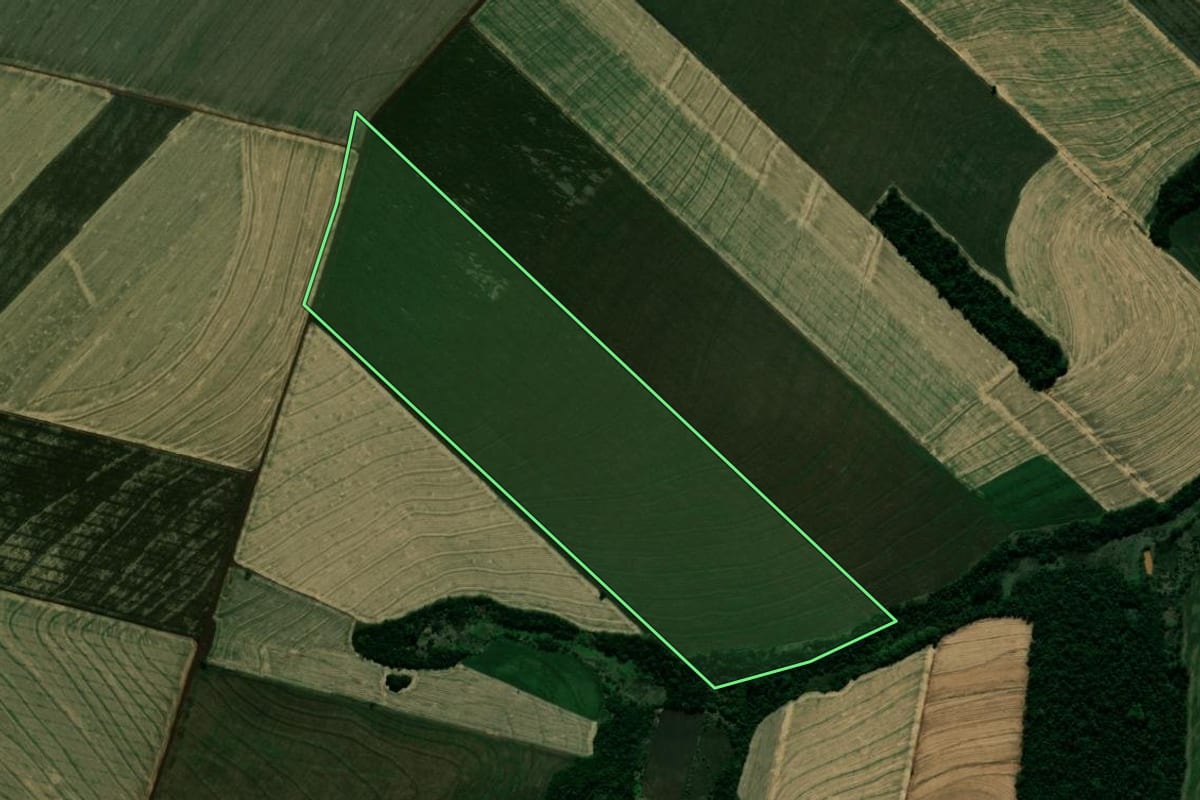 Imagem de satélite do imóvel rural em Japurá (PR), com o contorno declarado no CAR desenhado por cima.