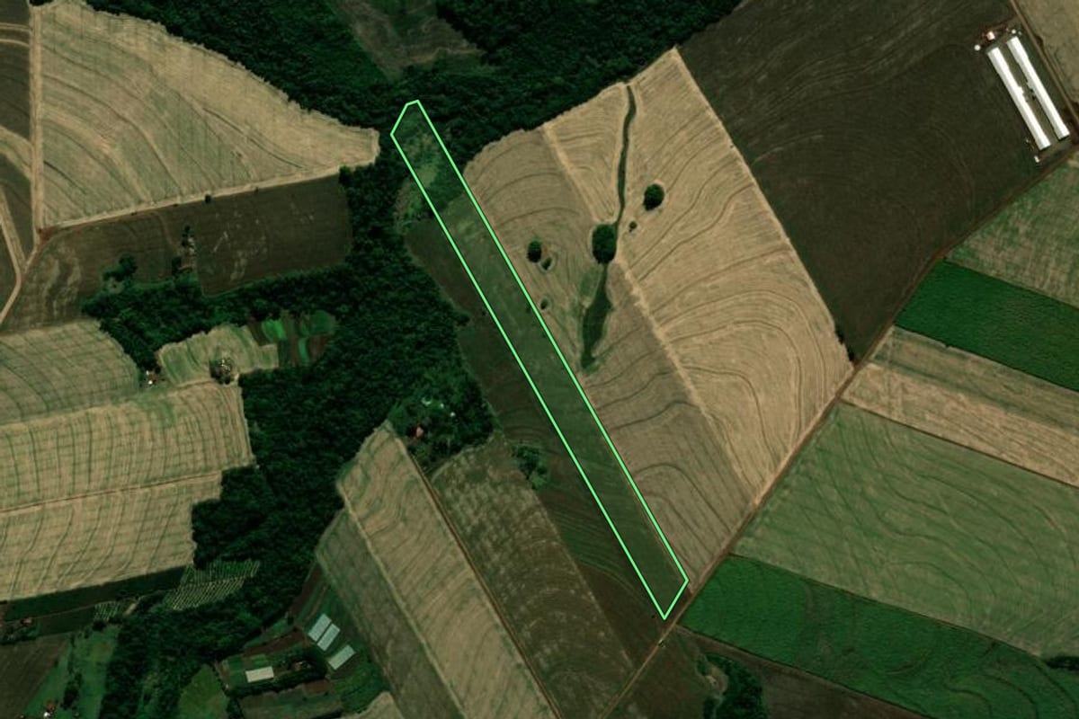 Imagem de satélite do imóvel rural em Japurá (PR), com o contorno declarado no CAR desenhado por cima.