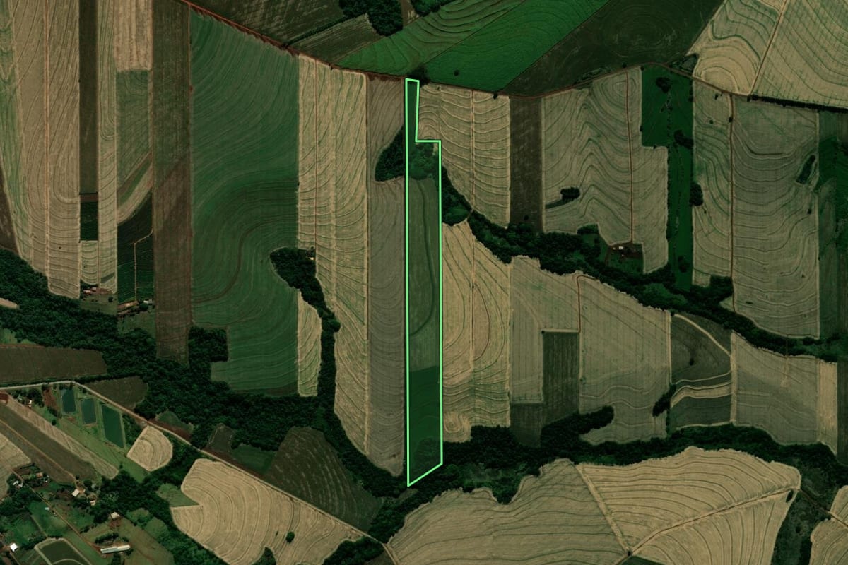 Imagem de satélite do imóvel rural em Japurá (PR), com o contorno declarado no CAR desenhado por cima.