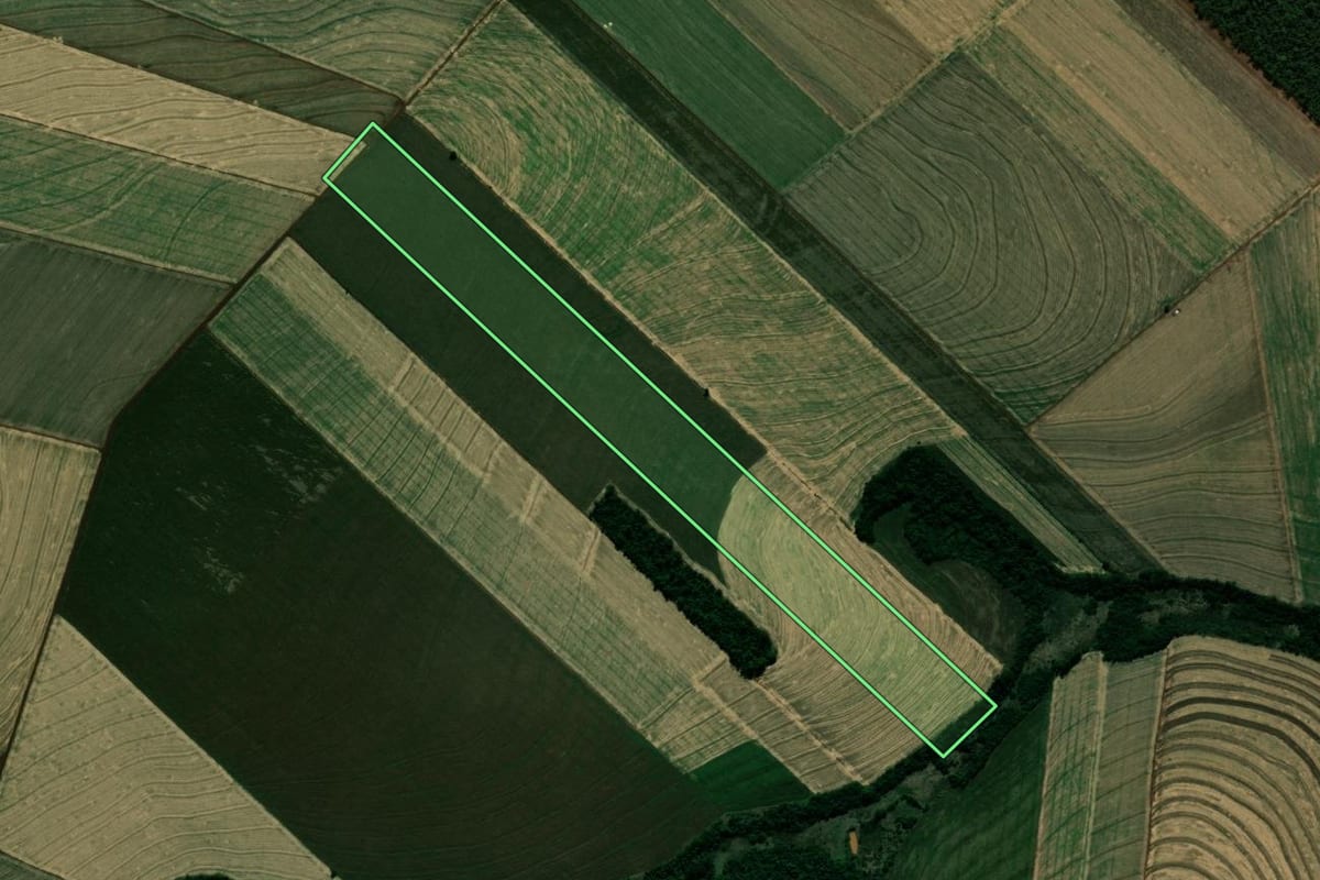 Imagem de satélite do imóvel rural em Japurá (PR), com o contorno declarado no CAR desenhado por cima.
