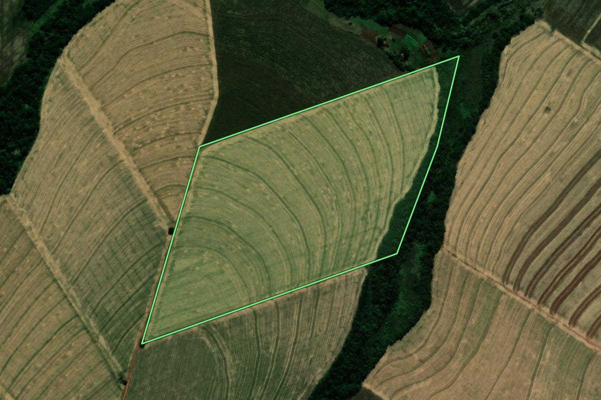 Imagem de satélite do imóvel rural em Japurá (PR), com o contorno declarado no CAR desenhado por cima.