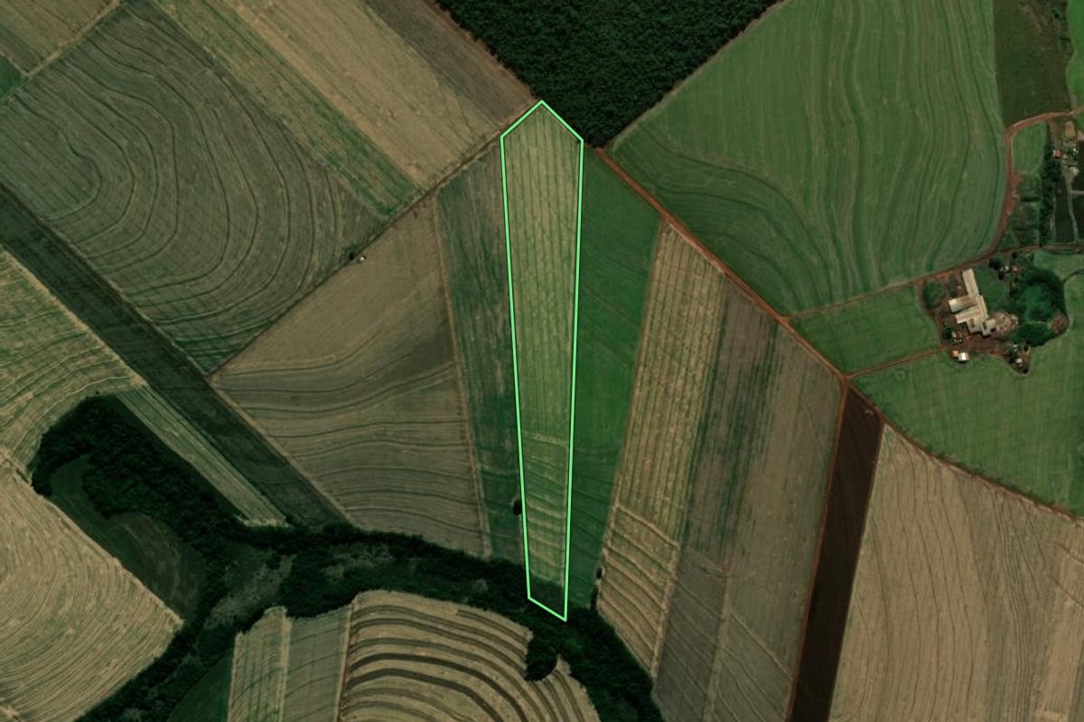 Imagem de satélite do imóvel rural em Japurá (PR), com o contorno declarado no CAR desenhado por cima.