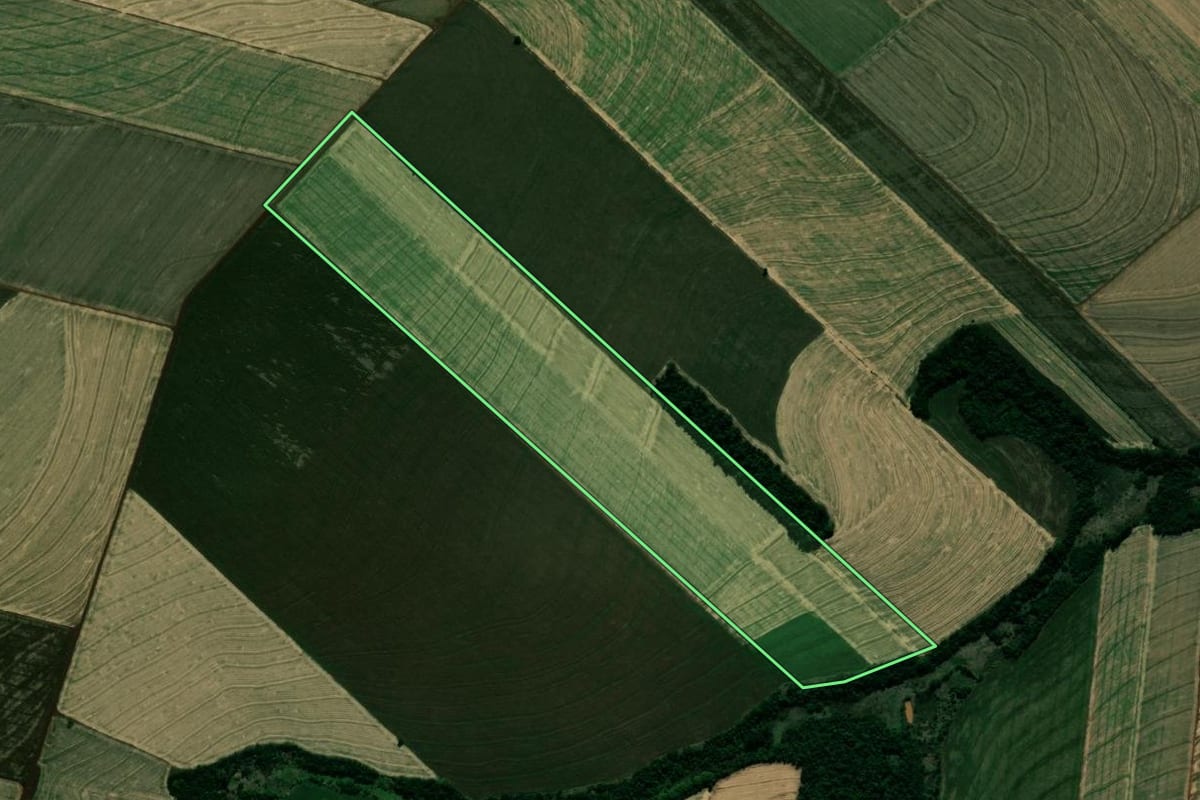 Imagem de satélite do imóvel rural em Japurá (PR), com o contorno declarado no CAR desenhado por cima.