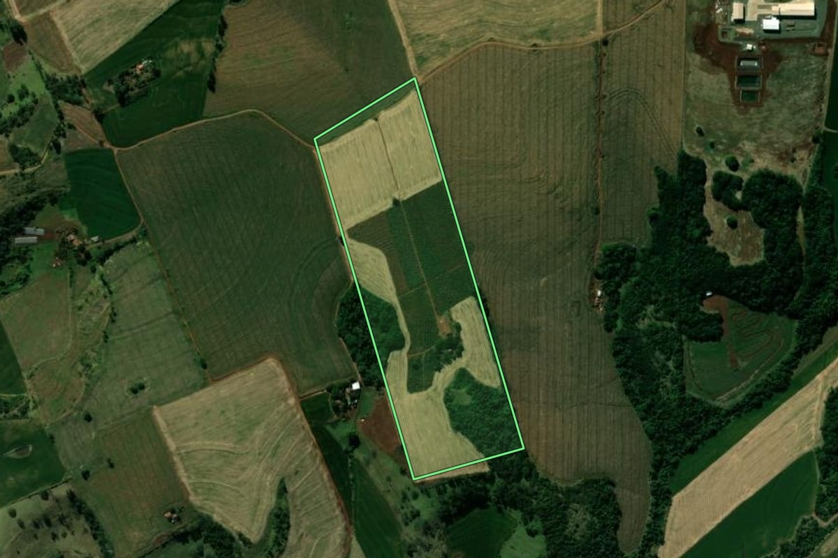 Imagem de satélite do imóvel rural em Jardim Alegre (PR), com o contorno declarado no CAR desenhado por cima.