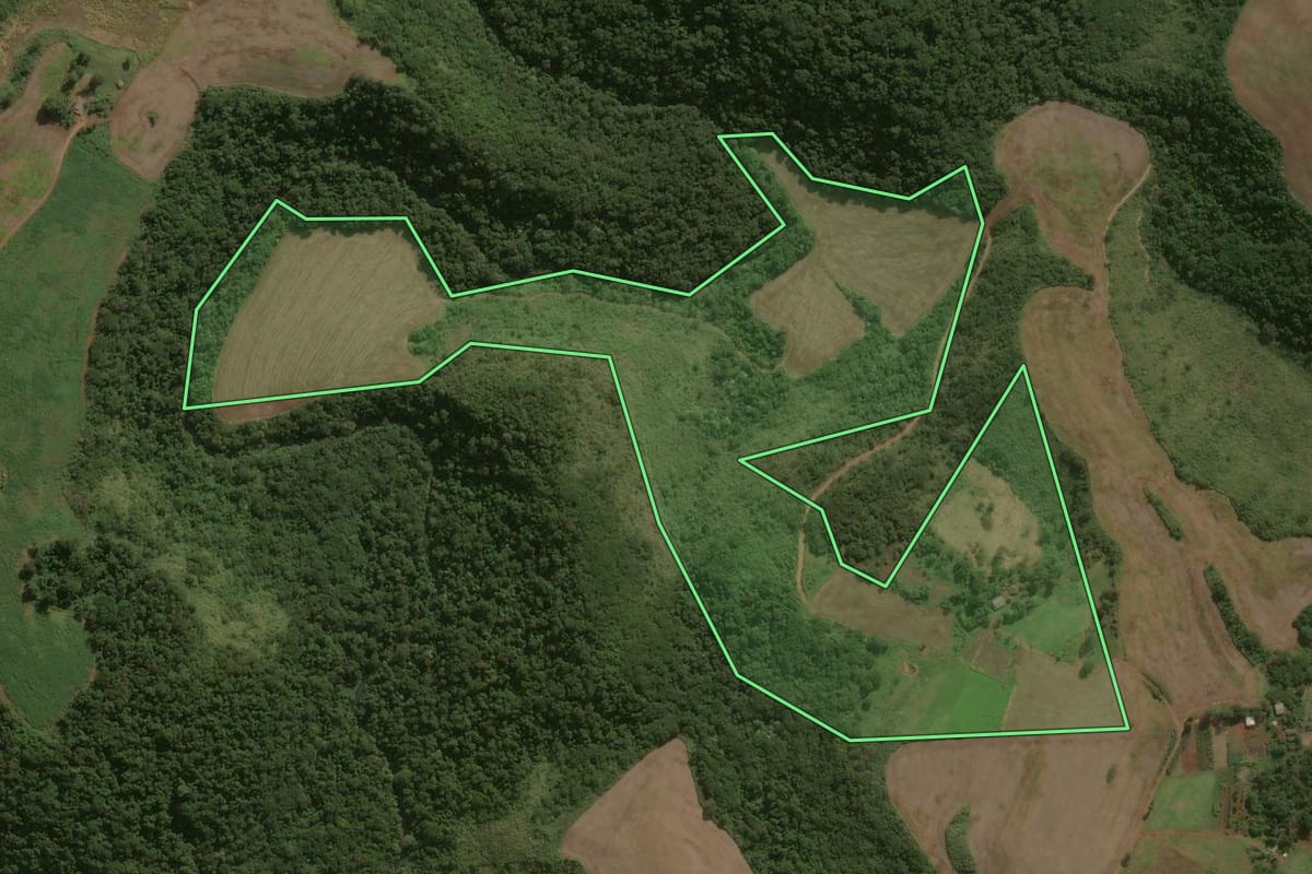 Imagem de satélite do imóvel rural em Jardim Alegre (PR), com o contorno declarado no CAR desenhado por cima.