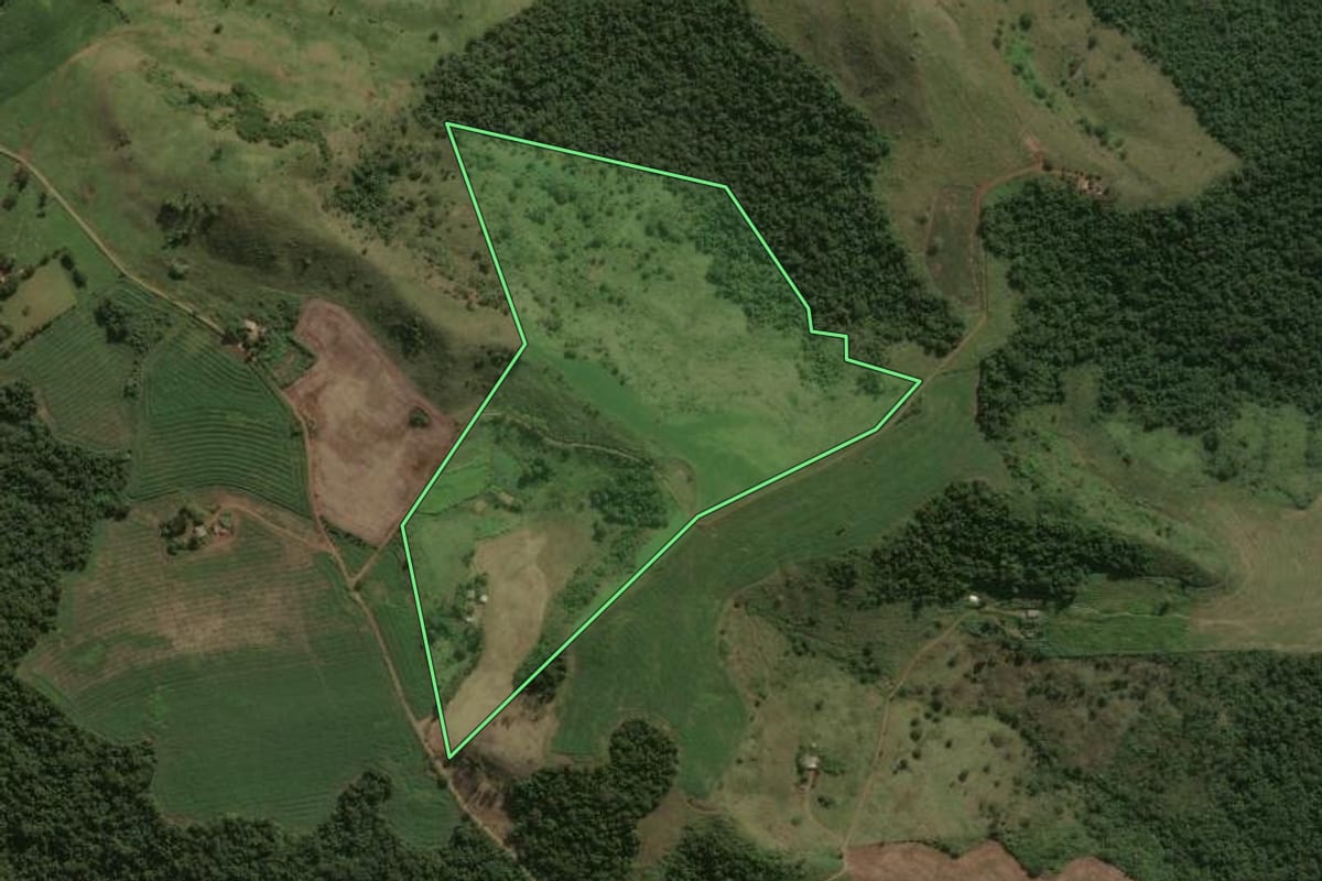 Imagem de satélite do imóvel rural em Jardim Alegre (PR), com o contorno declarado no CAR desenhado por cima.