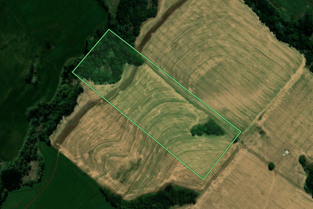 Imagem de satélite do imóvel rural em Jardim Alegre (PR), com o contorno declarado no CAR desenhado por cima.