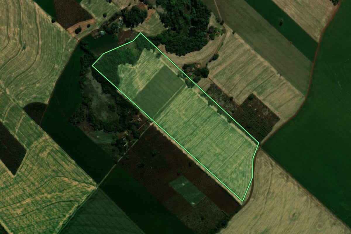 Imagem de satélite do imóvel rural em Jardim Alegre (PR), com o contorno declarado no CAR desenhado por cima.