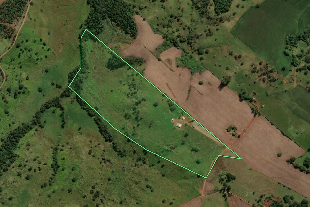 Imagem de satélite do imóvel rural em Jardim Alegre (PR), com o contorno declarado no CAR desenhado por cima.
