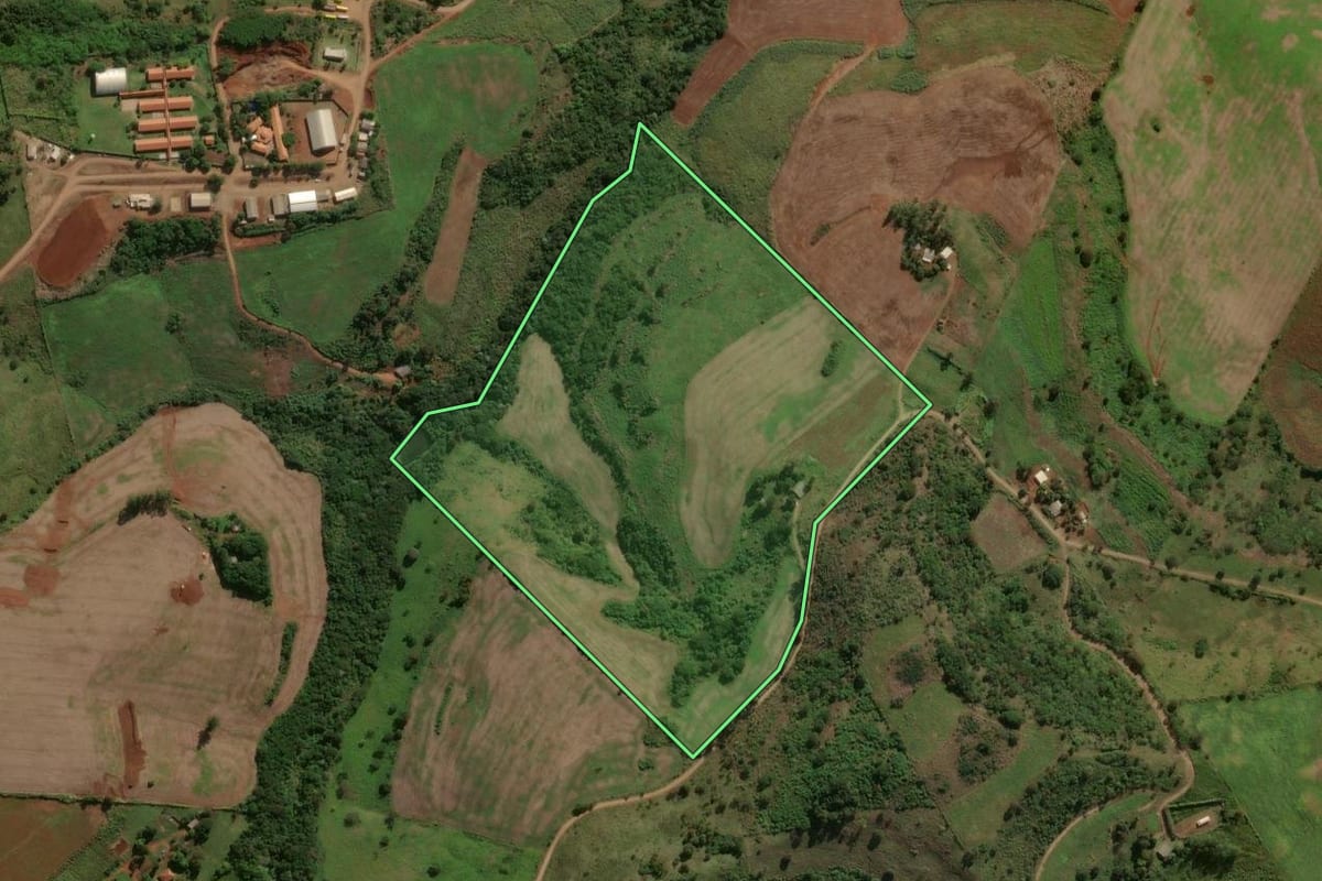 Imagem de satélite do imóvel rural em Jardim Alegre (PR), com o contorno declarado no CAR desenhado por cima.