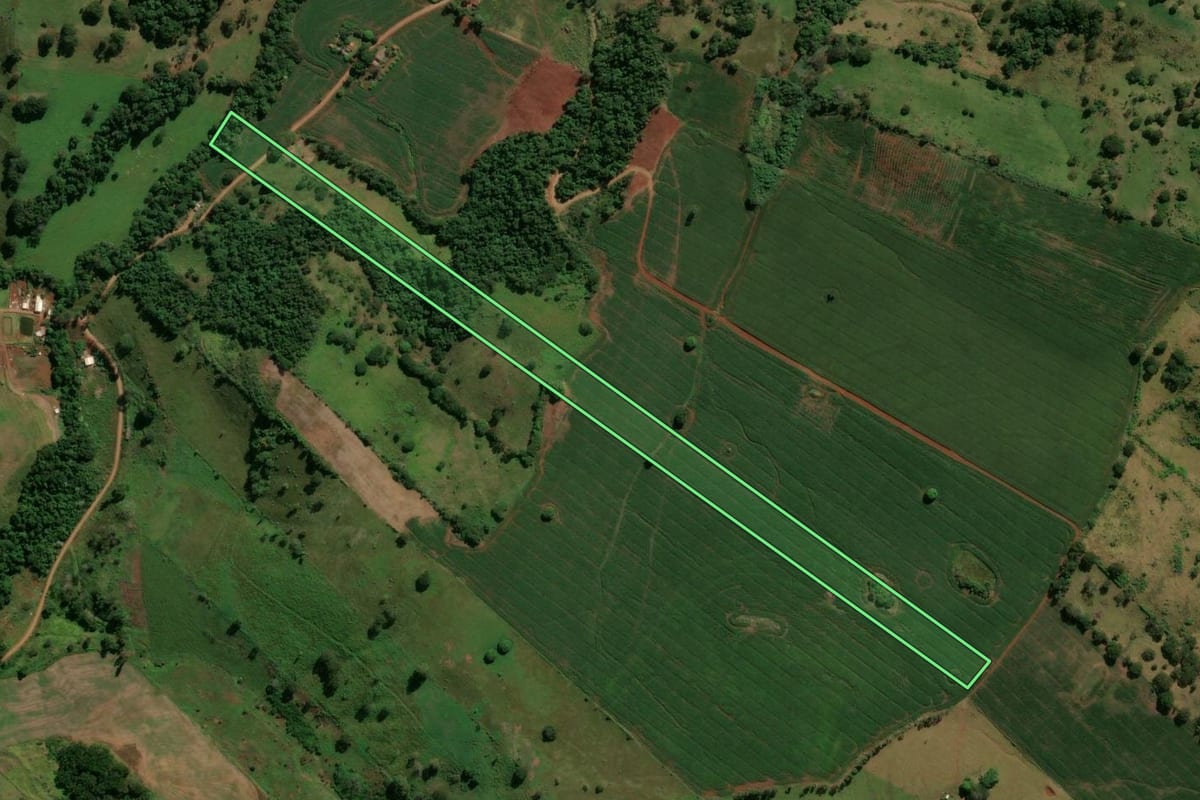 Imagem de satélite do imóvel rural em Jardim Alegre (PR), com o contorno declarado no CAR desenhado por cima.