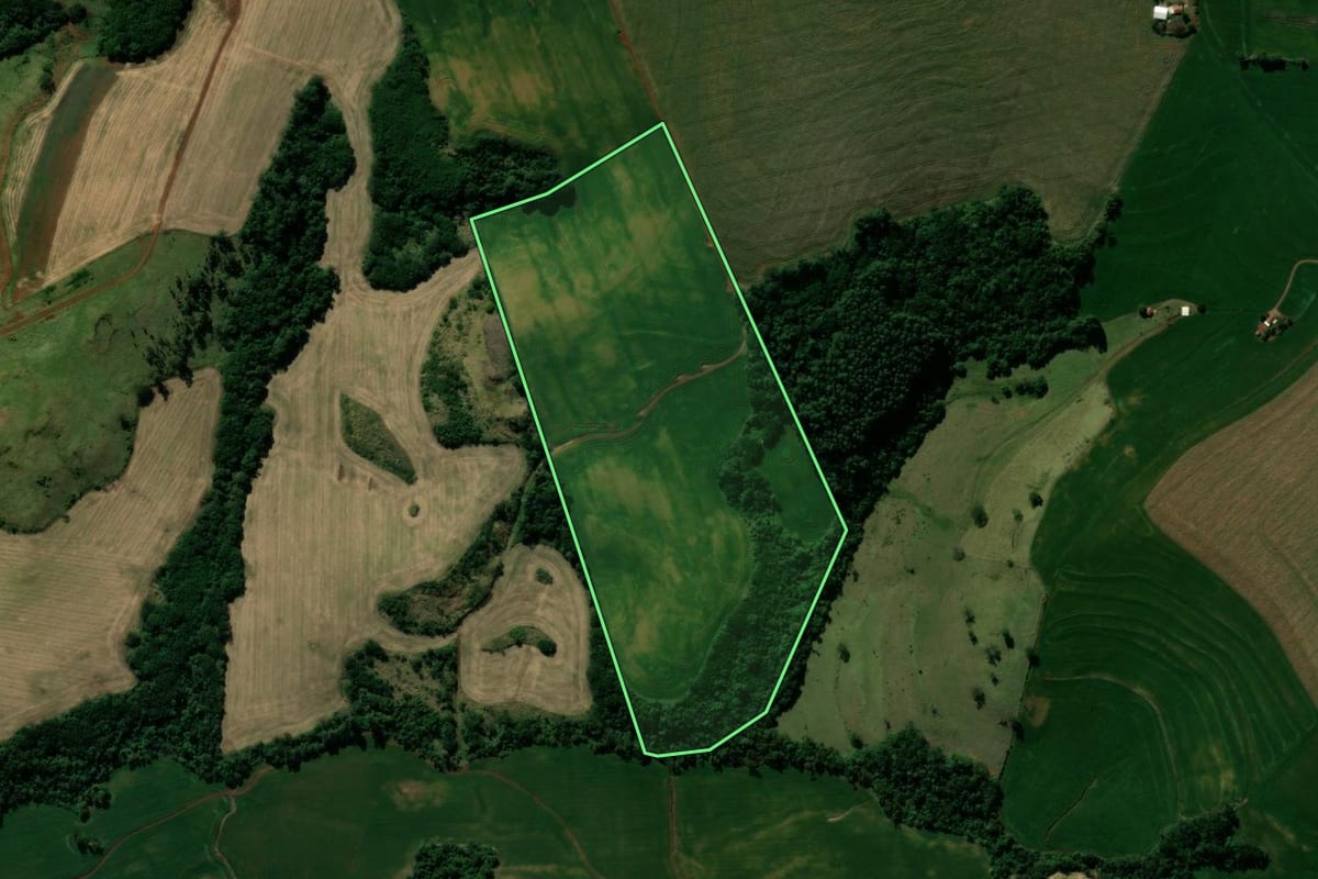 Imagem de satélite do imóvel rural em Jardim Alegre (PR), com o contorno declarado no CAR desenhado por cima.