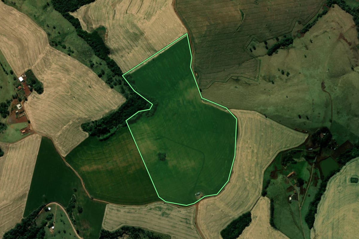 Imagem de satélite do imóvel rural em Jardim Alegre (PR), com o contorno declarado no CAR desenhado por cima.