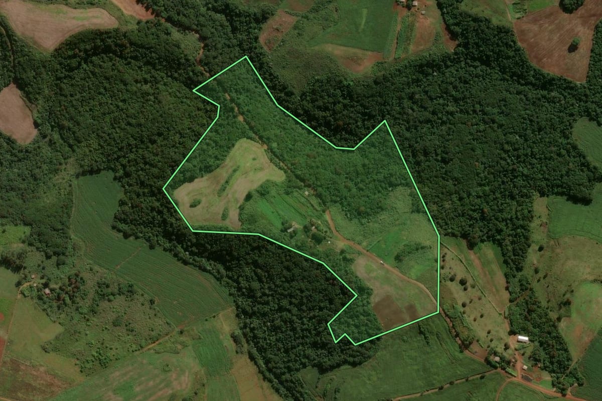 Imagem de satélite do imóvel rural em Jardim Alegre (PR), com o contorno declarado no CAR desenhado por cima.
