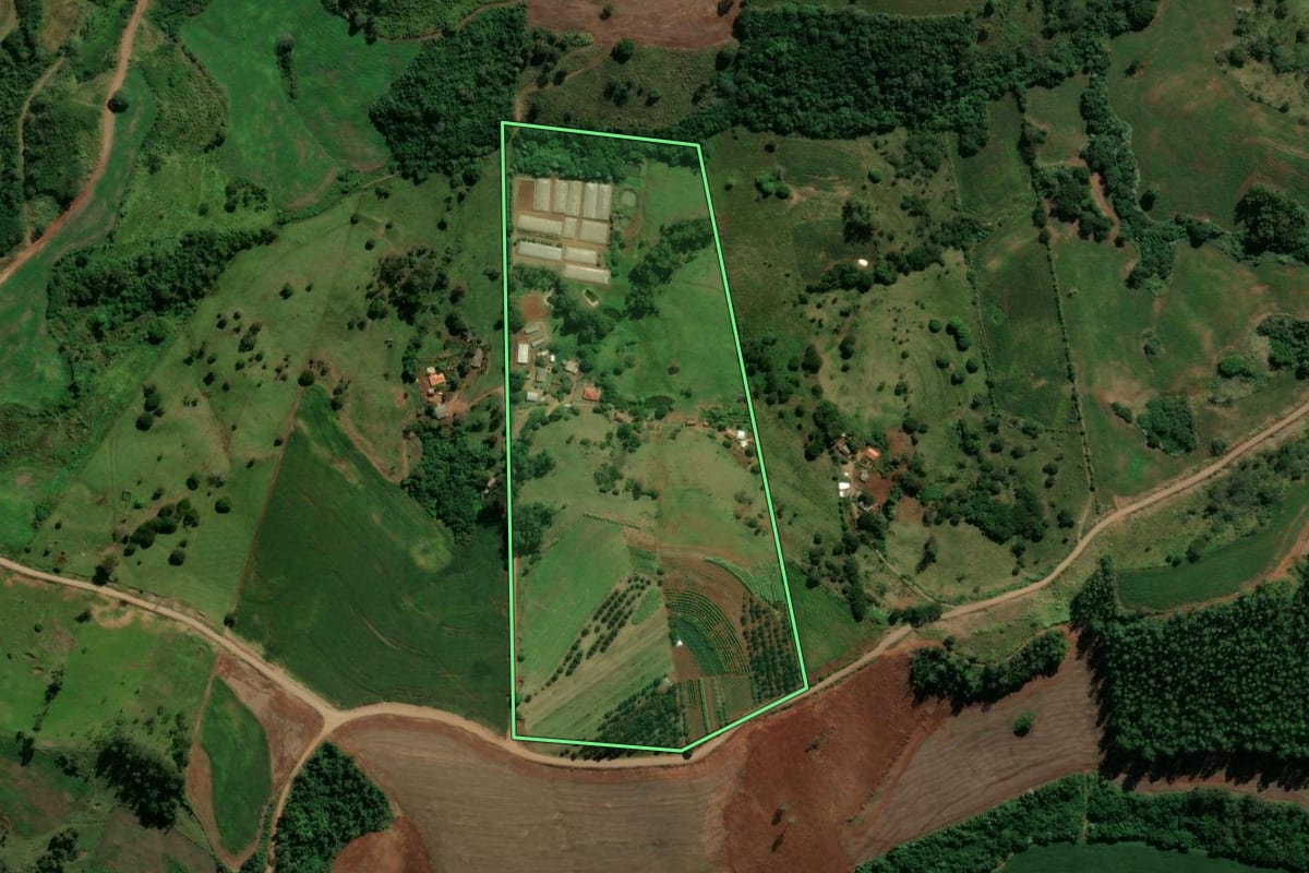 Imagem de satélite do imóvel rural em Jardim Alegre (PR), com o contorno declarado no CAR desenhado por cima.