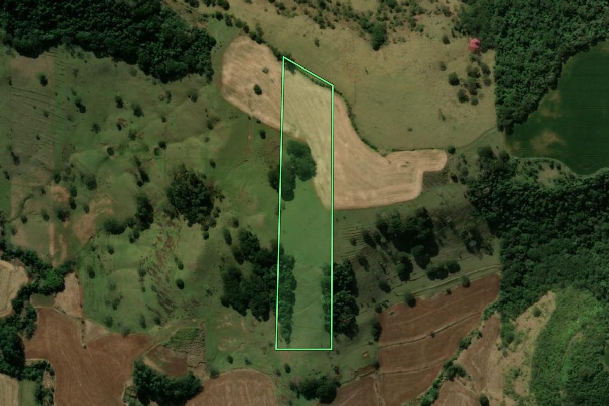 Imagem de satélite do imóvel rural em Jardim Alegre (PR), com o contorno declarado no CAR desenhado por cima.