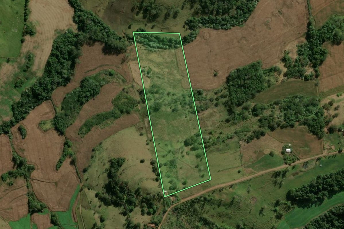 Imagem de satélite do imóvel rural em Jardim Alegre (PR), com o contorno declarado no CAR desenhado por cima.