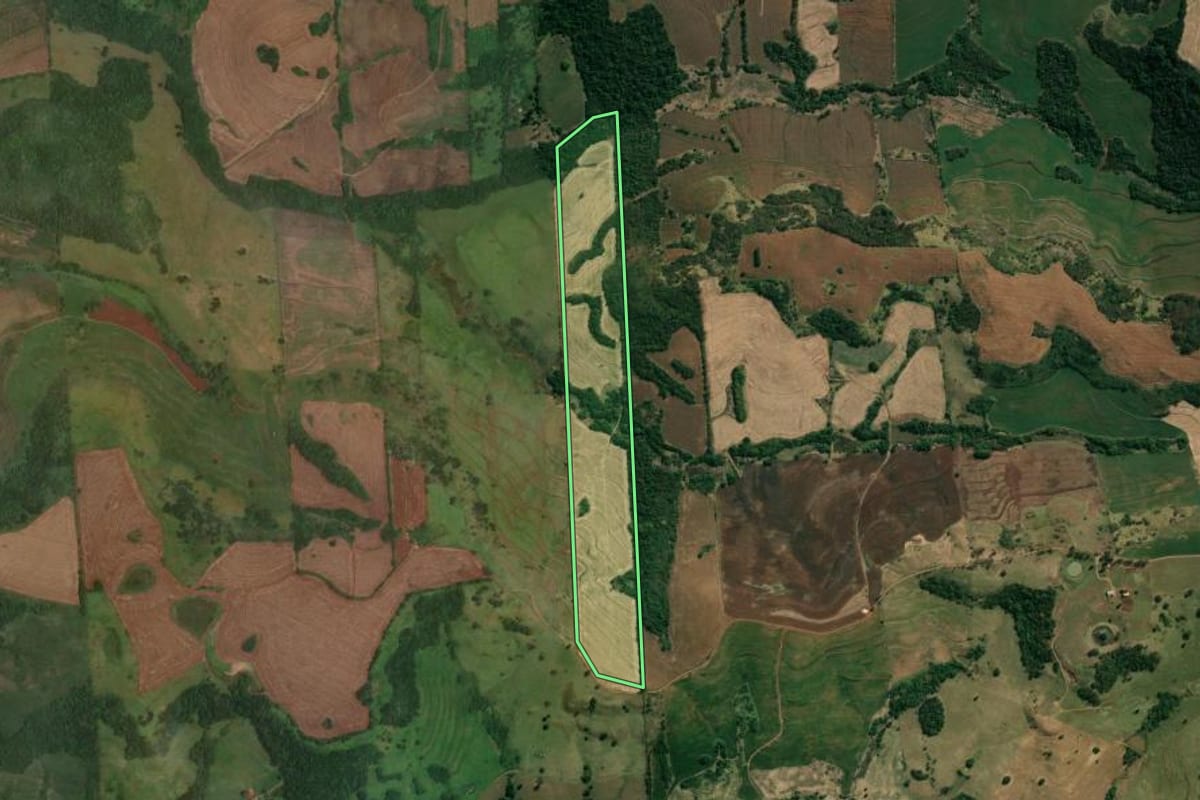 Imagem de satélite do imóvel rural em Jataizinho (PR), com o contorno declarado no CAR desenhado por cima.