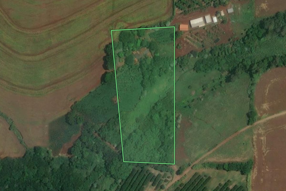 Imagem de satélite do imóvel rural em Jataizinho (PR), com o contorno declarado no CAR desenhado por cima.