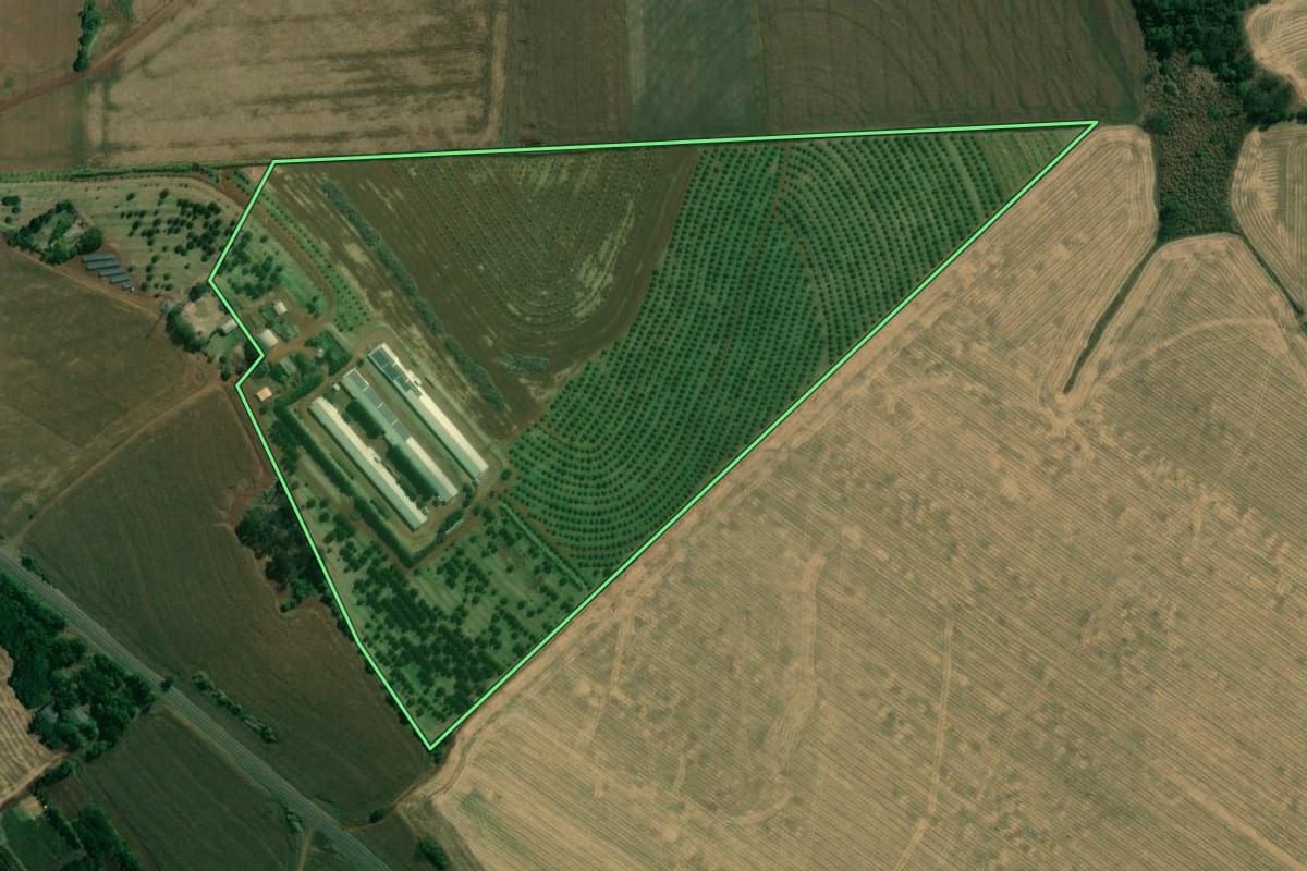 Imagem de satélite do imóvel rural em Jataizinho (PR), com o contorno declarado no CAR desenhado por cima.