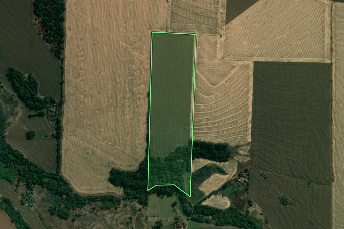 Imagem de satélite do imóvel rural em Jataizinho (PR), com o contorno declarado no CAR desenhado por cima.