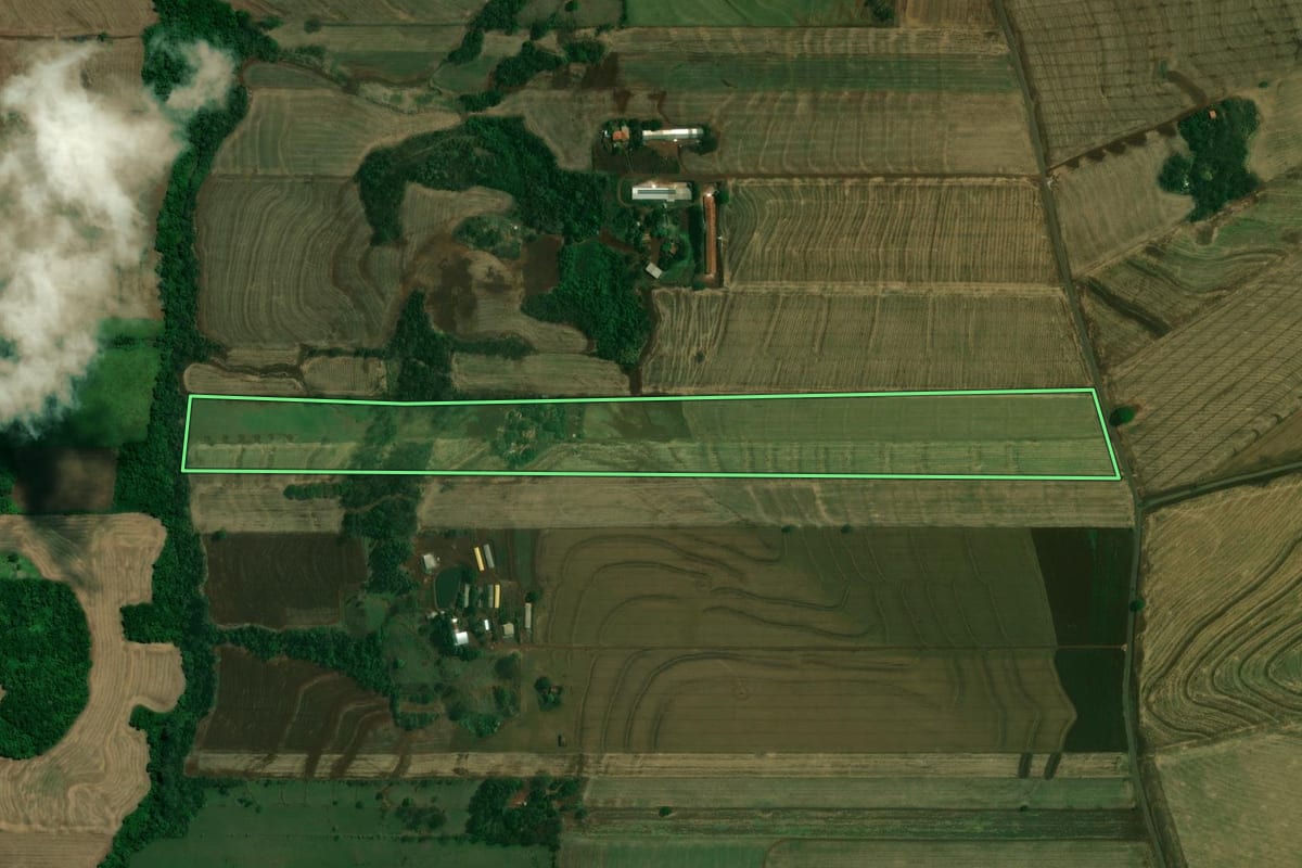 Imagem de satélite do imóvel rural em Jesuítas (PR), com o contorno declarado no CAR desenhado por cima.