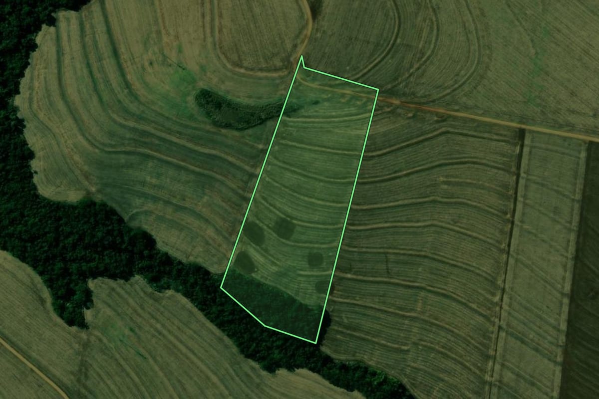 Imagem de satélite do imóvel rural em Jesuítas (PR), com o contorno declarado no CAR desenhado por cima.