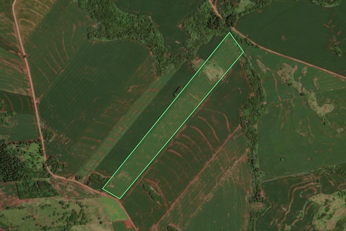 Imagem de satélite do imóvel rural em Jesuítas (PR), com o contorno declarado no CAR desenhado por cima.