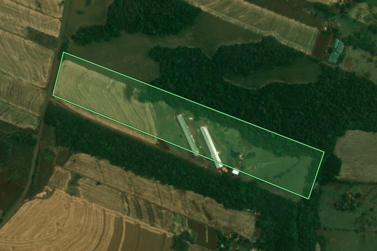 Imagem de satélite do imóvel rural em Jesuítas (PR), com o contorno declarado no CAR desenhado por cima.