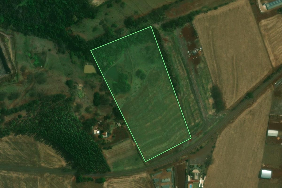 Imagem de satélite do imóvel rural em Jesuítas (PR), com o contorno declarado no CAR desenhado por cima.