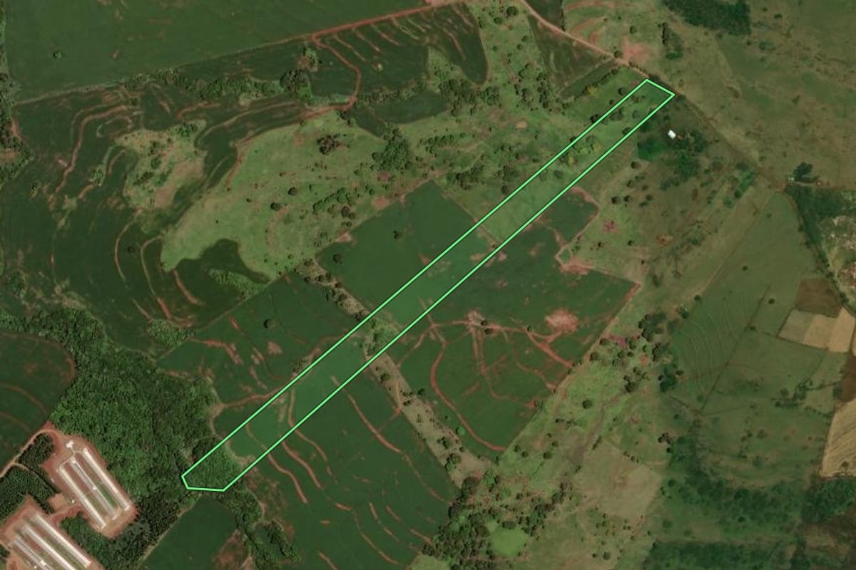 Imagem de satélite do imóvel rural em Jesuítas (PR), com o contorno declarado no CAR desenhado por cima.