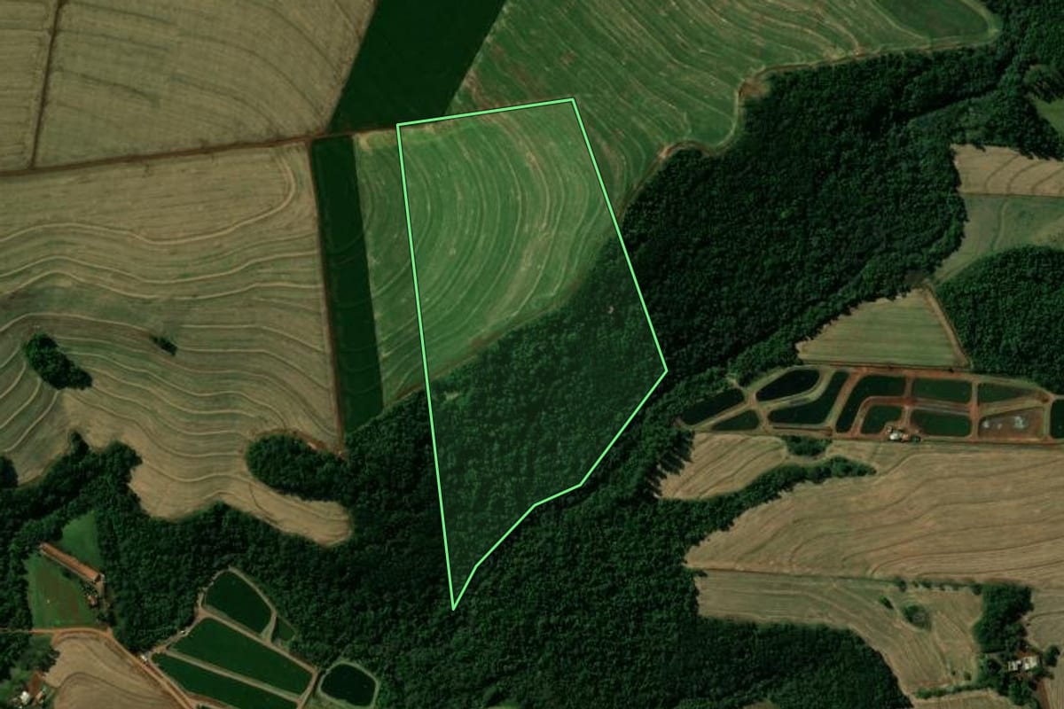 Imagem de satélite do imóvel rural em Jesuítas (PR), com o contorno declarado no CAR desenhado por cima.