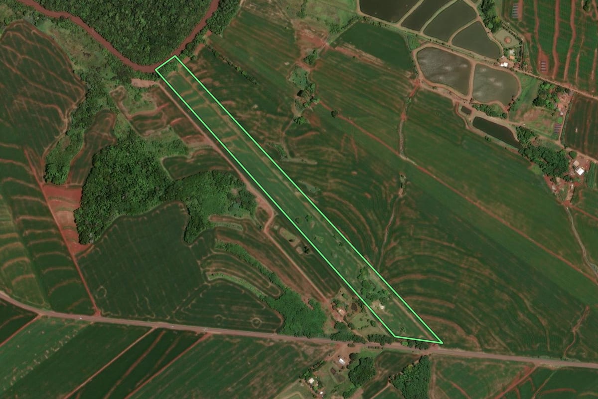 Imagem de satélite do imóvel rural em Jesuítas (PR), com o contorno declarado no CAR desenhado por cima.