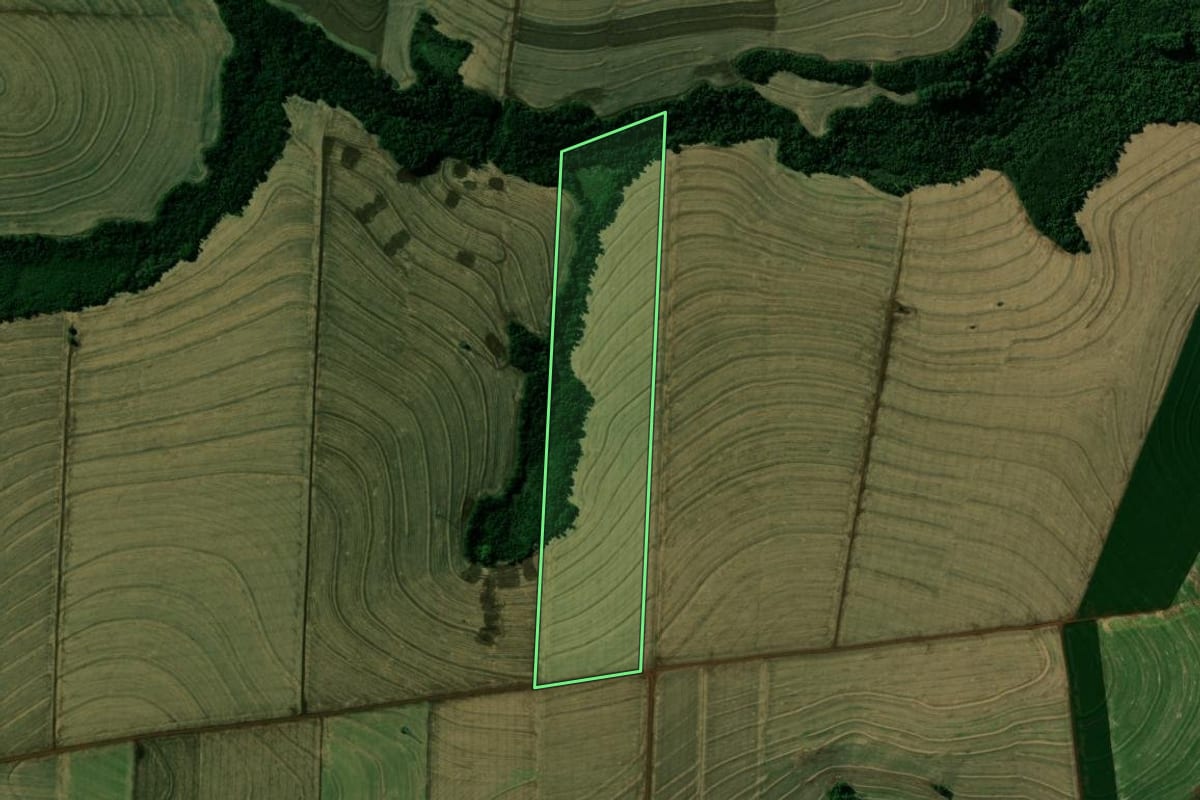 Imagem de satélite do imóvel rural em Jesuítas (PR), com o contorno declarado no CAR desenhado por cima.