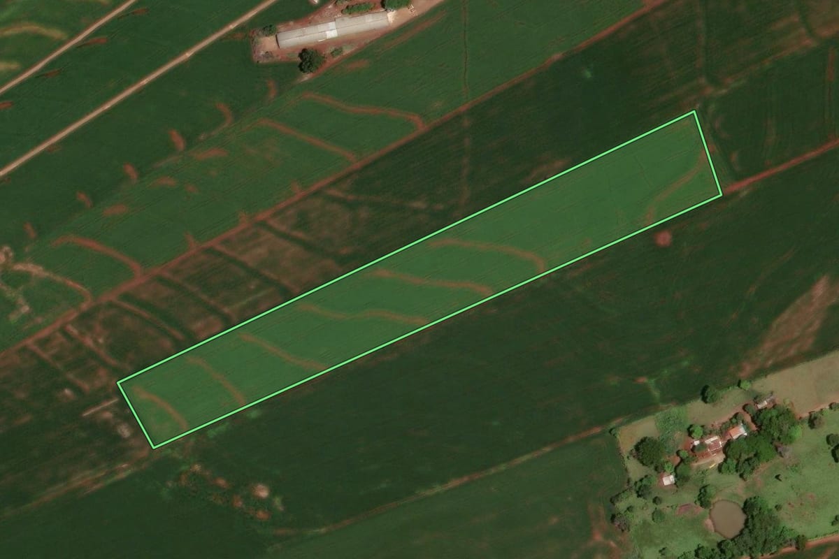 Imagem de satélite do imóvel rural em Jesuítas (PR), com o contorno declarado no CAR desenhado por cima.