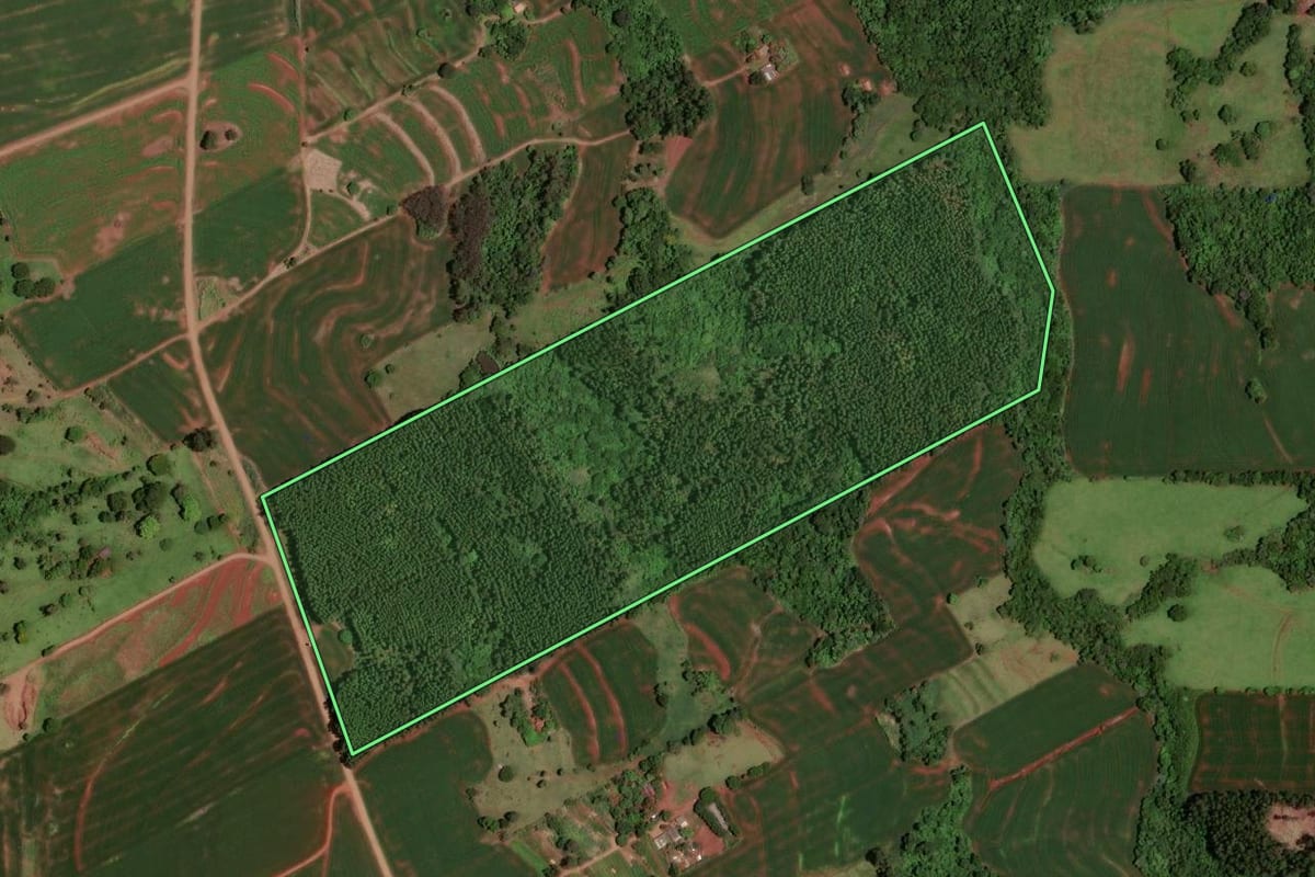 Imagem de satélite do imóvel rural em Jesuítas (PR), com o contorno declarado no CAR desenhado por cima.