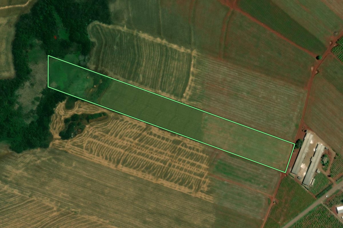 Imagem de satélite do imóvel rural em Jesuítas (PR), com o contorno declarado no CAR desenhado por cima.