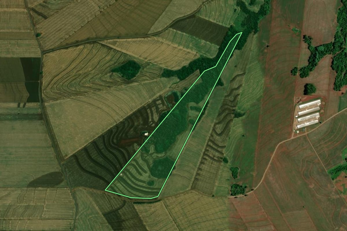 Imagem de satélite do imóvel rural em Jesuítas (PR), com o contorno declarado no CAR desenhado por cima.