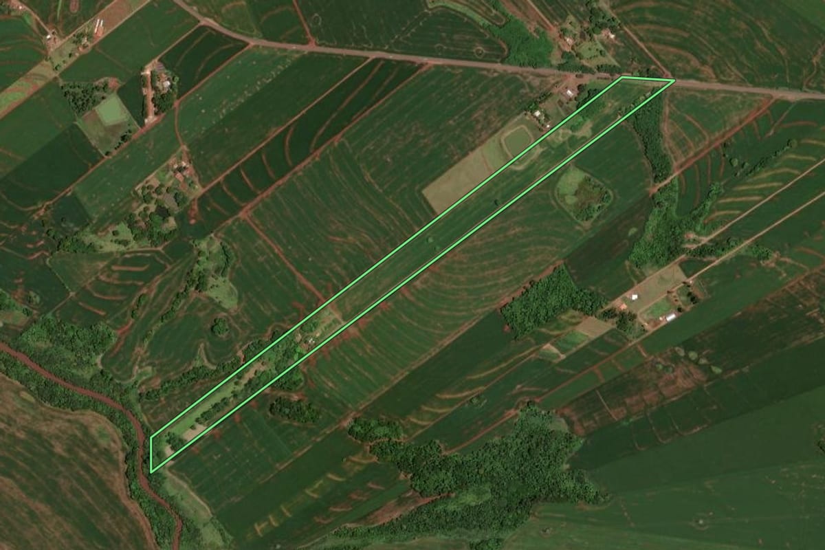 Imagem de satélite do imóvel rural em Jesuítas (PR), com o contorno declarado no CAR desenhado por cima.