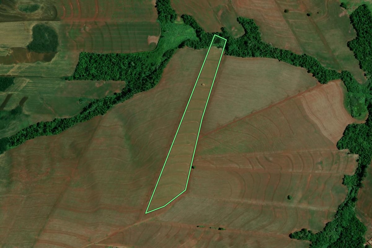 Imagem de satélite do imóvel rural em Jesuítas (PR), com o contorno declarado no CAR desenhado por cima.