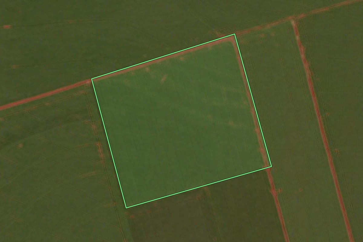 Imagem de satélite do imóvel rural em Juranda (PR), com o contorno declarado no CAR desenhado por cima.