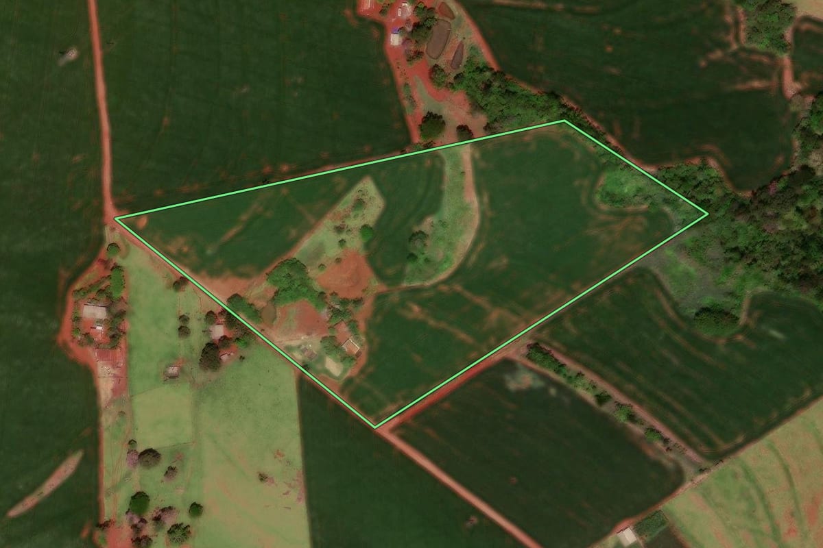 Imagem de satélite do imóvel rural em Juranda (PR), com o contorno declarado no CAR desenhado por cima.