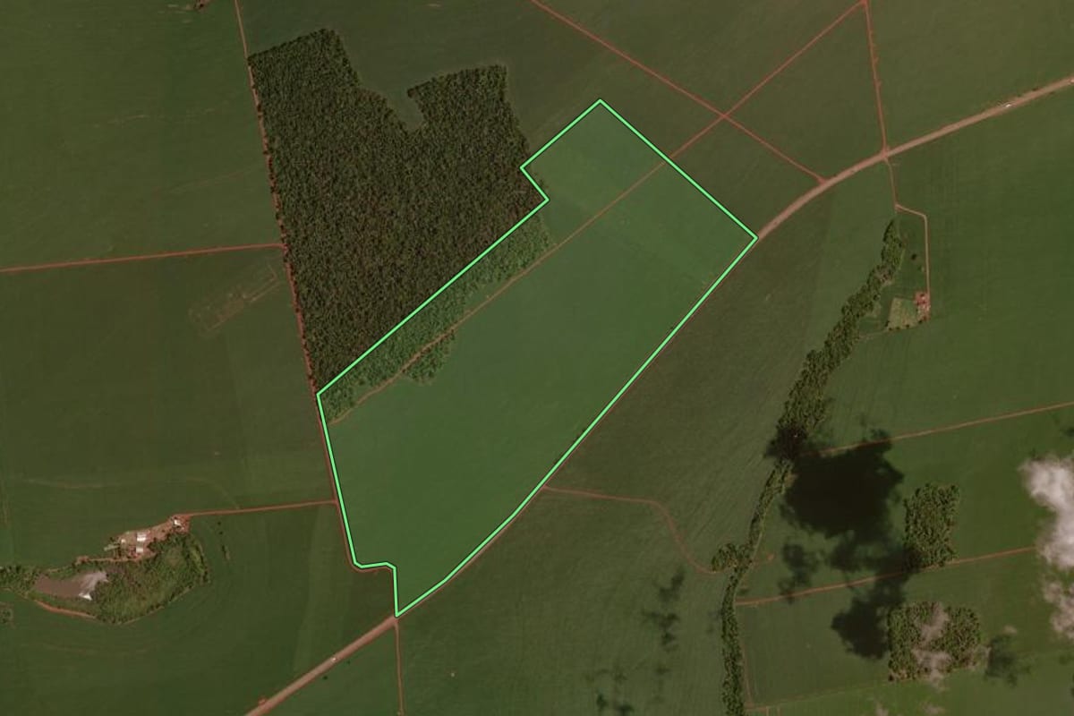 Imagem de satélite do imóvel rural em Juranda (PR), com o contorno declarado no CAR desenhado por cima.