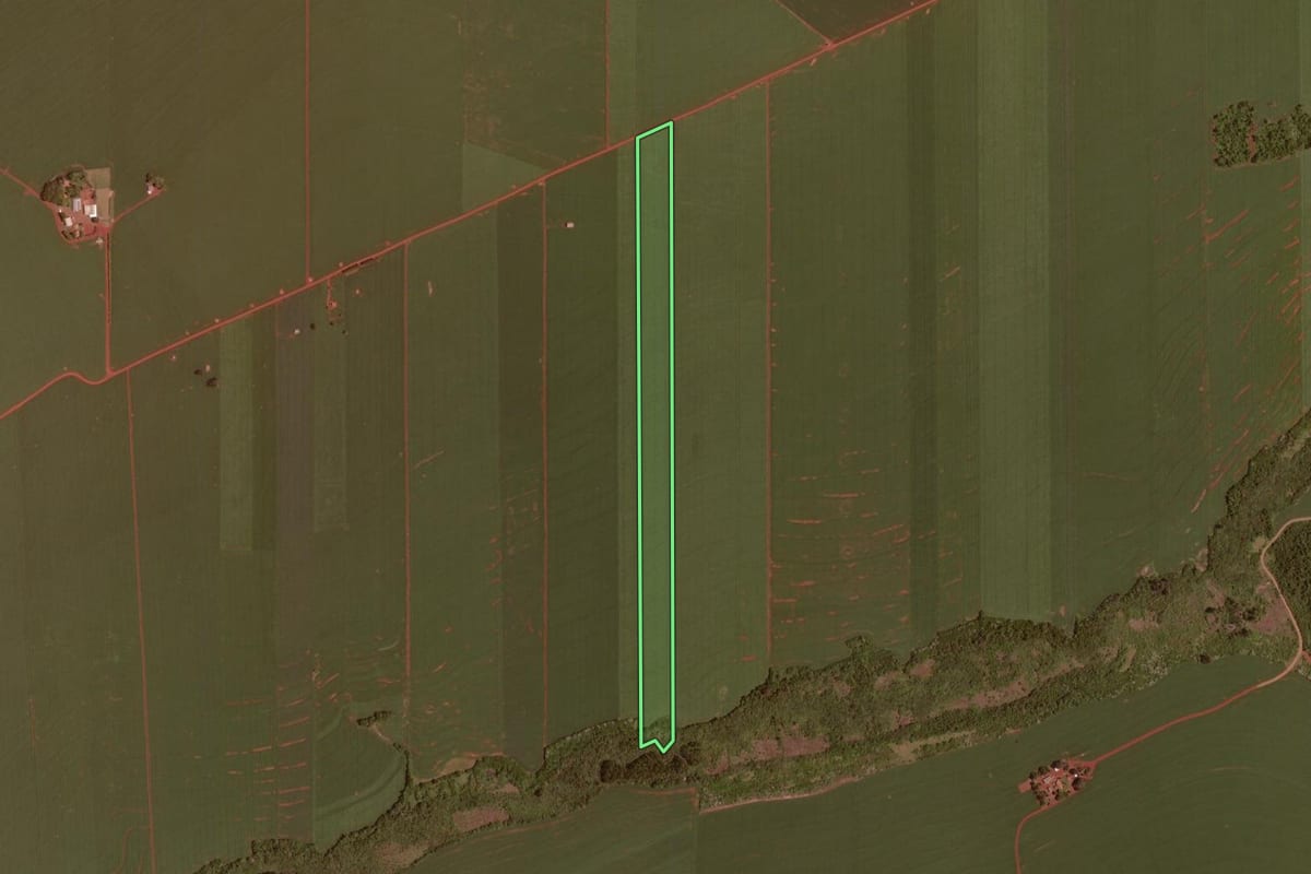 Imagem de satélite do imóvel rural em Juranda (PR), com o contorno declarado no CAR desenhado por cima.