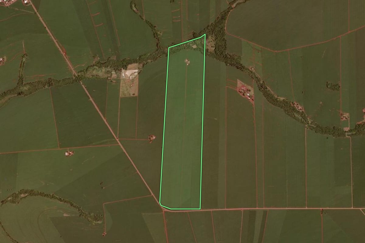 Imagem de satélite do imóvel rural em Juranda (PR), com o contorno declarado no CAR desenhado por cima.
