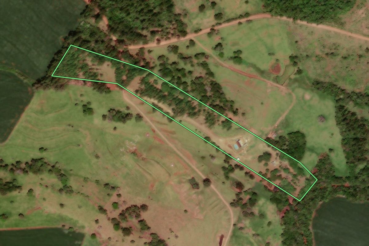 Imagem de satélite do imóvel rural em Juranda (PR), com o contorno declarado no CAR desenhado por cima.